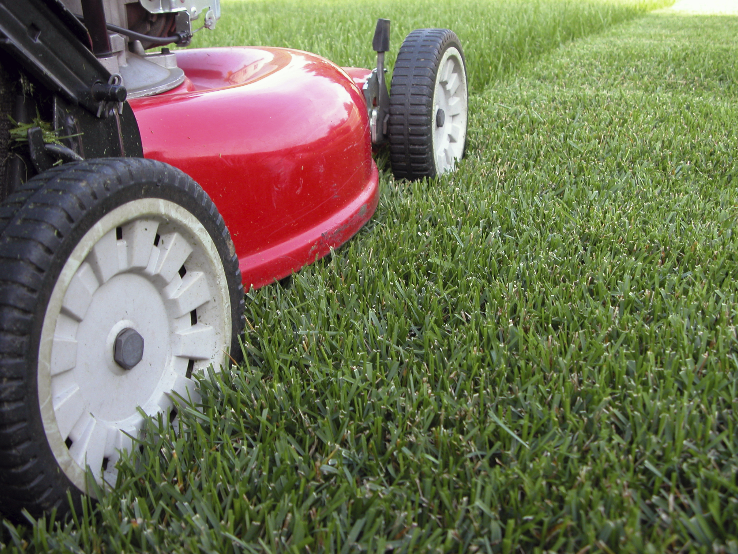 Lawn Mowing - Clayton Bitler Service Company